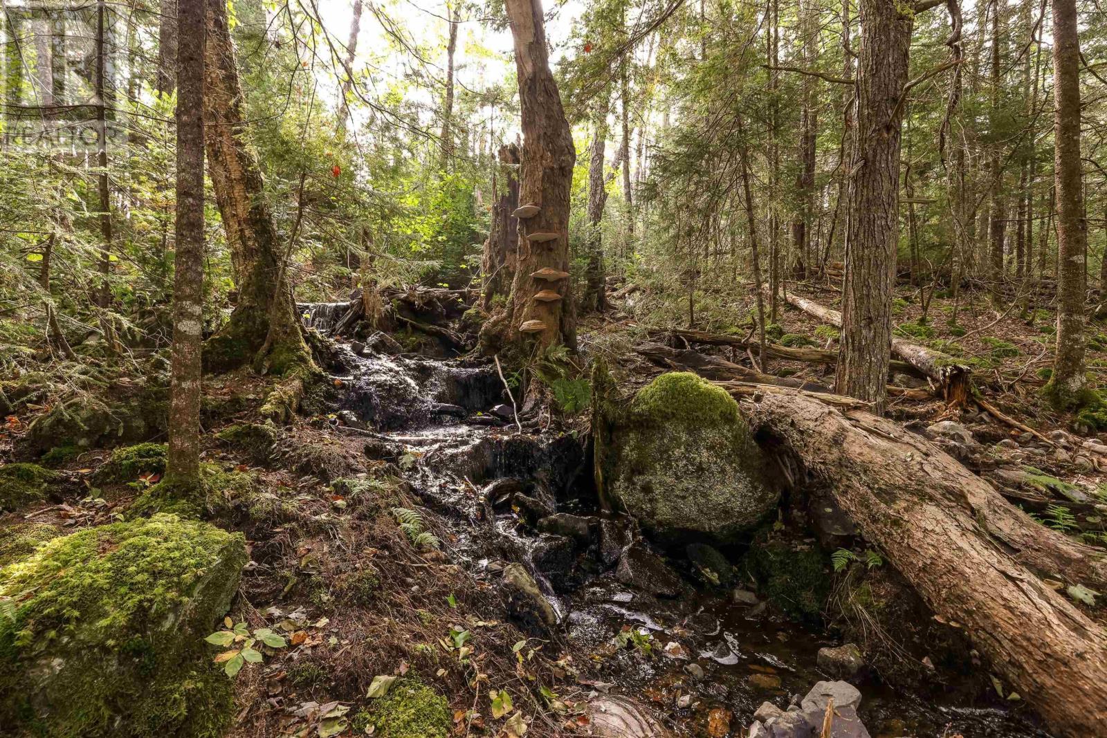 Photo 3 of Lot 7 Stamping Mill Lane, Chester Basin NS