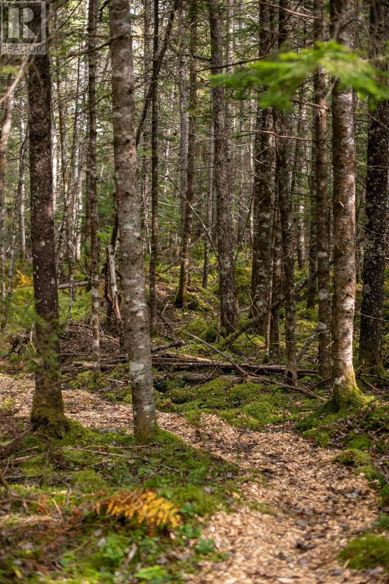 Photo 14 of Lot 7 Stamping Mill Lane, Chester Basin NS