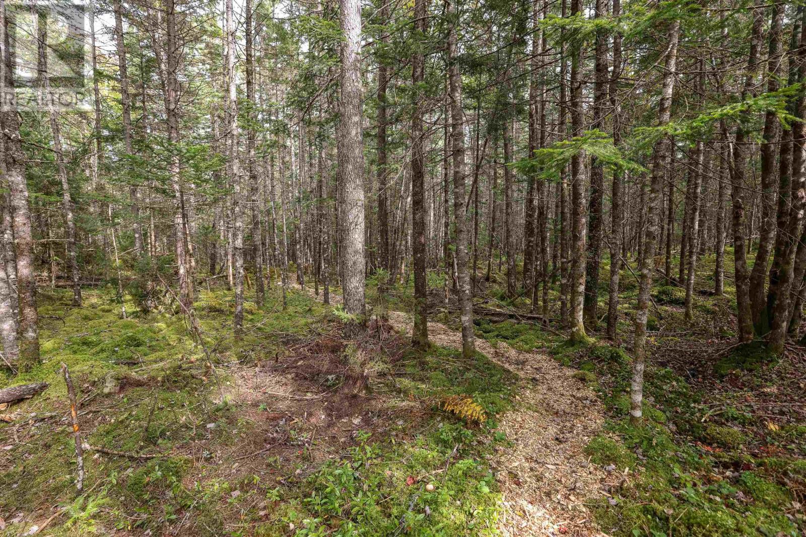 Photo 4 of Lot 7 Stamping Mill Lane, Chester Basin NS