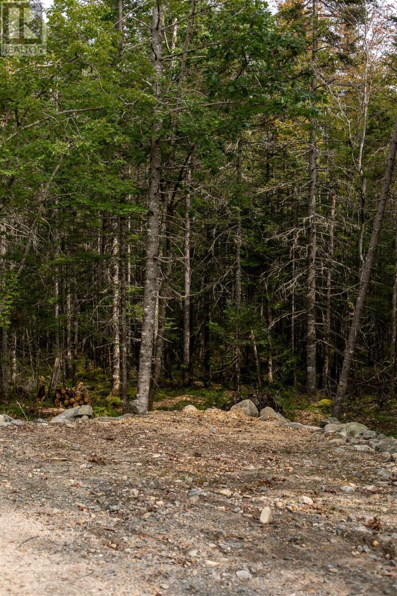 Photo 4 of Lot 2 Stamping Mill Lane, Chester Basin NS