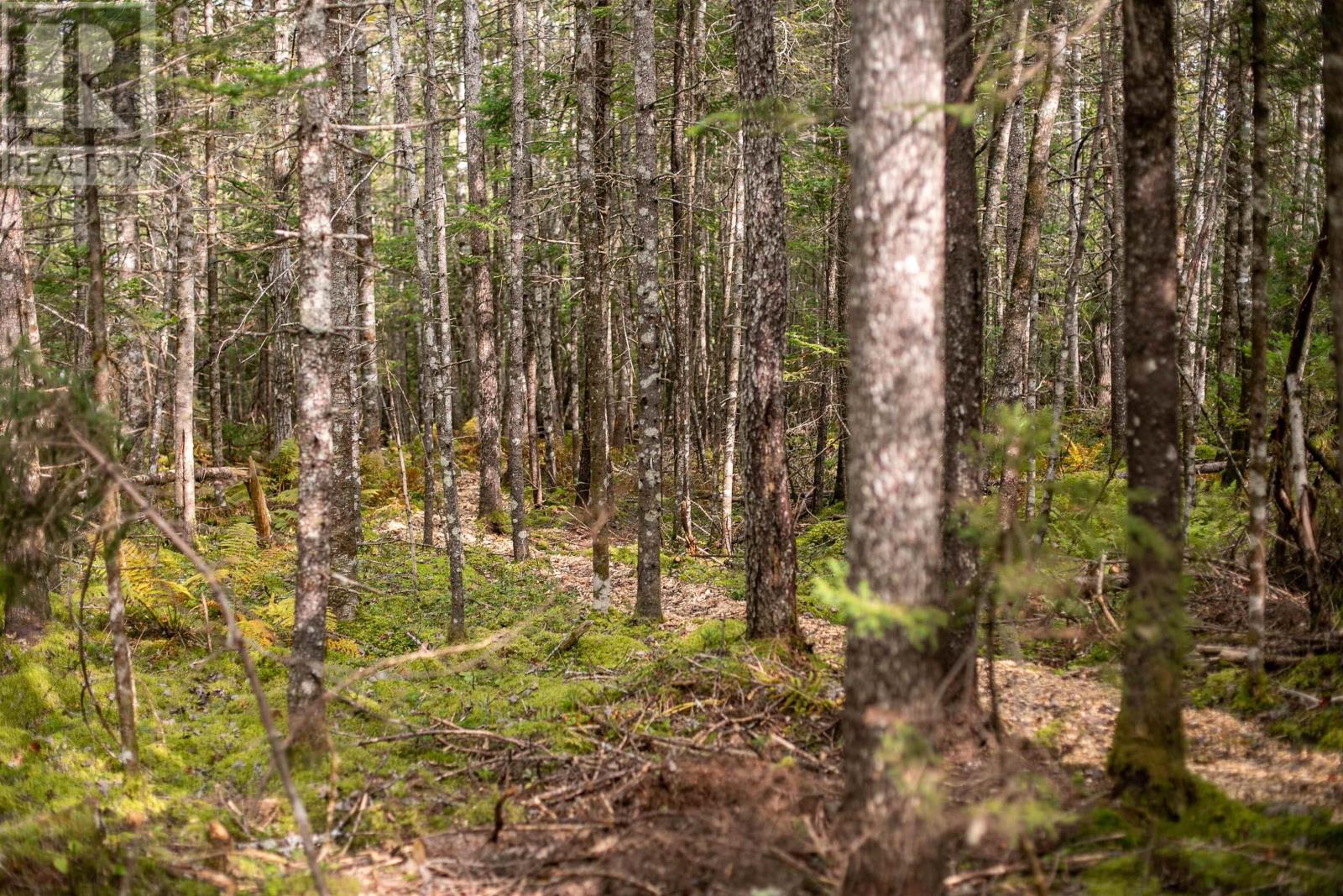 Photo 6 of Lot 2 Stamping Mill Lane, Chester Basin NS