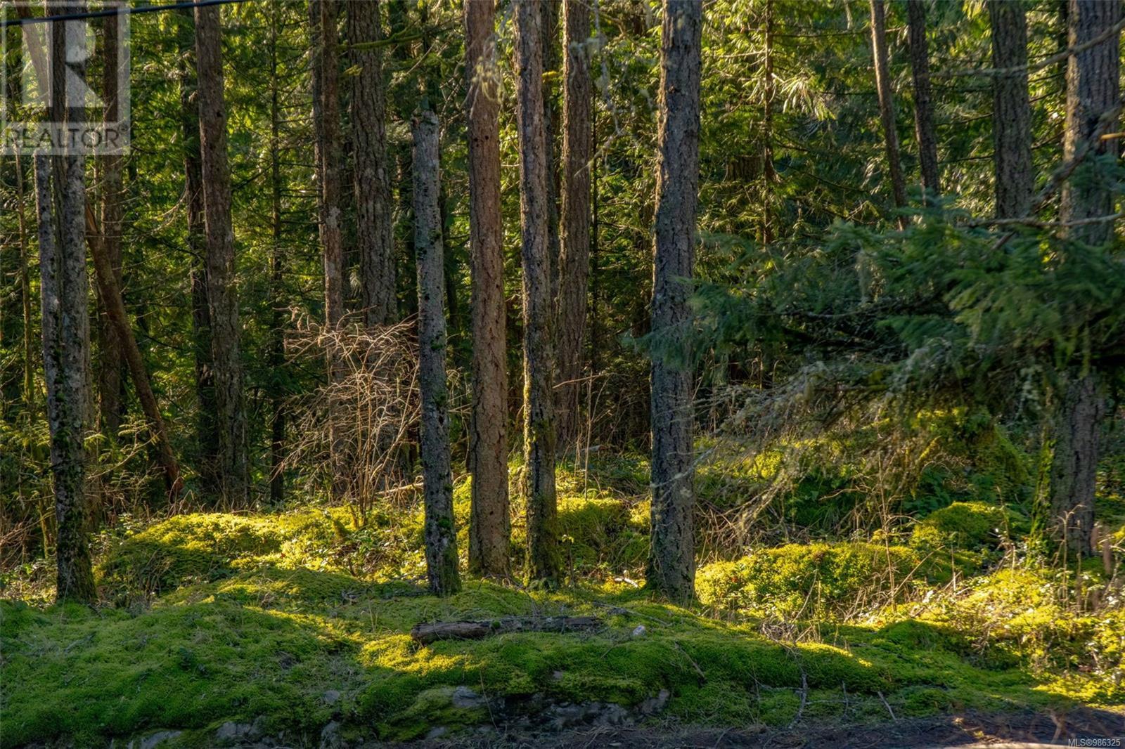 Vacant Land in Shawnigan Lake - Image 16