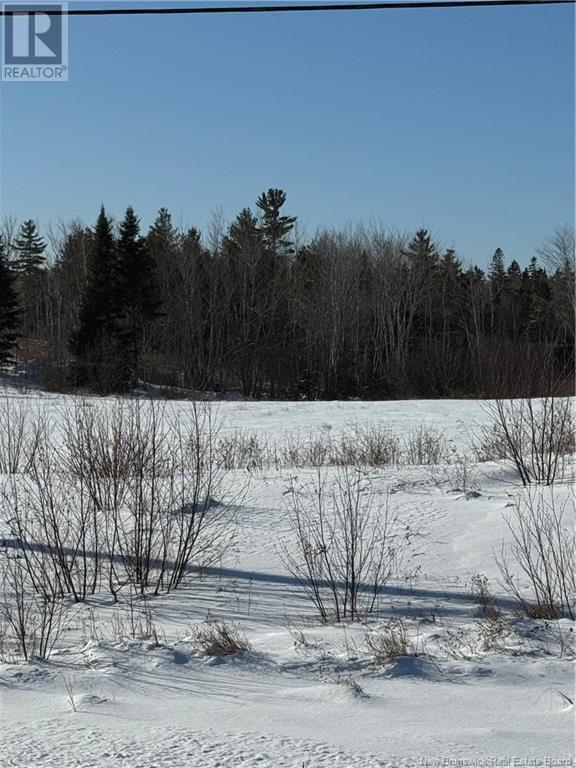 Photo 3 of Lot C Route 134, Kouchibouguac NB