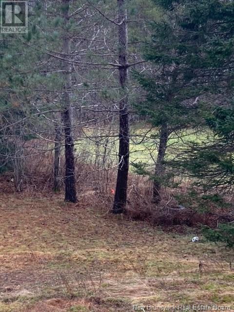 Photo 8 of 403 Northside Drive, Minto NB