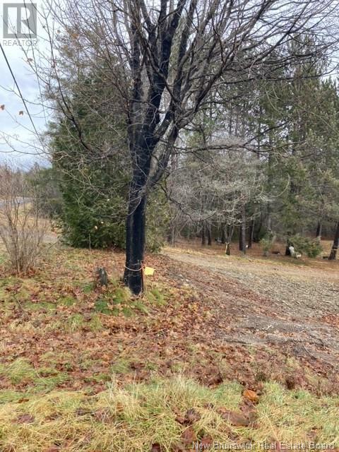 Photo 3 of 403 Northside Drive, Minto NB