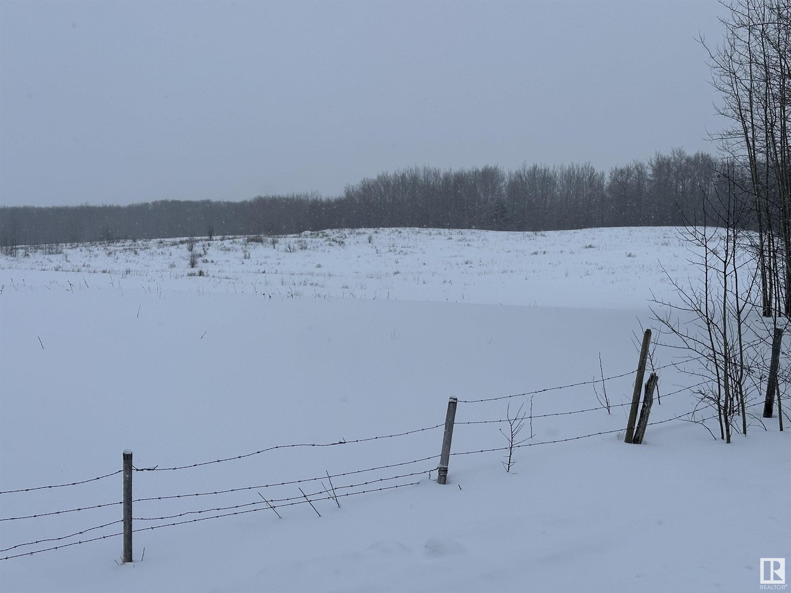 Photo 5 of 20255 And 20256 Highway 14, Rural Strathcona County AB