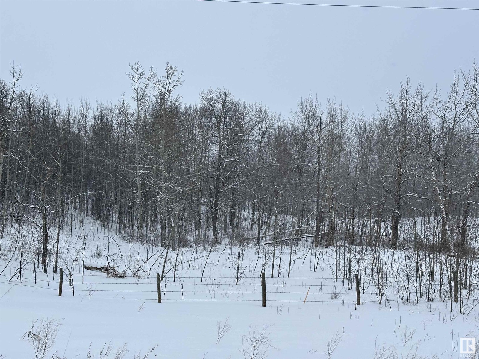 Photo 13 of 20255 And 20256 Highway 14, Rural Strathcona County AB