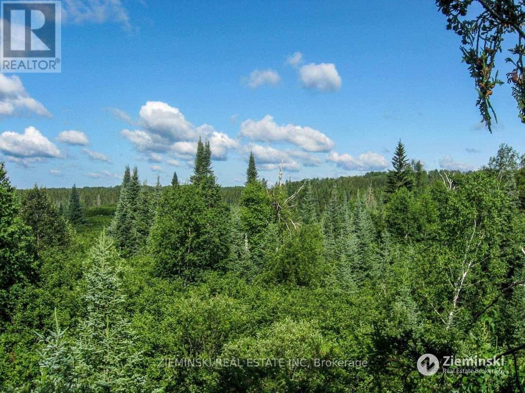 Photo 10 of Lt 11 Con 3 Murphy Twshp Acres, Timmins ON