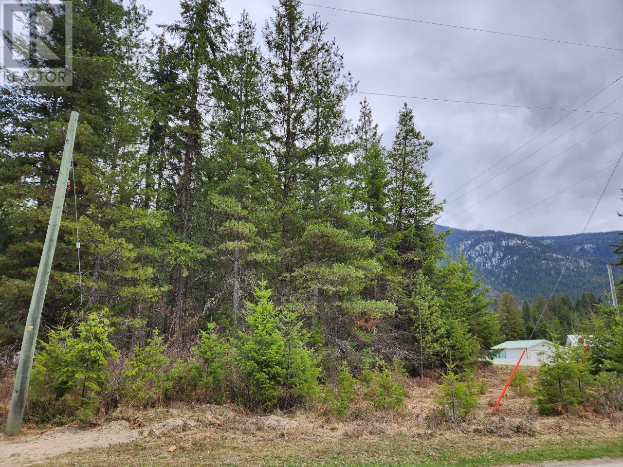 Photo 2 of Lots 8 10 Hume Street, Slocan BC