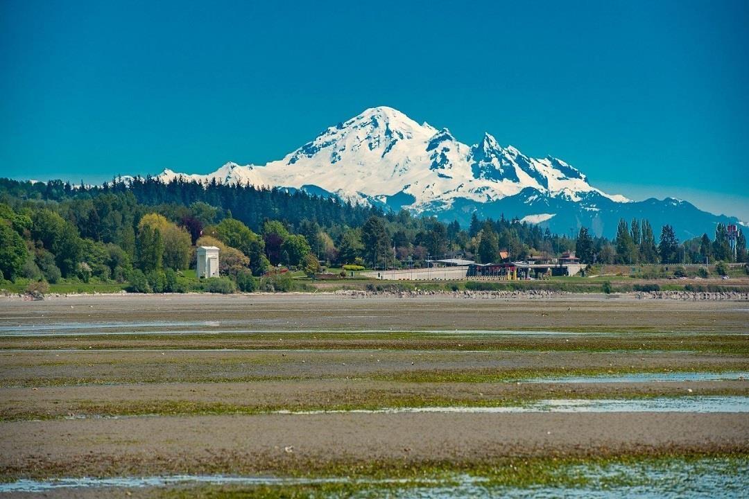 15176 BEACHVIEW AVENUE, White Rock real estate listing R2965288