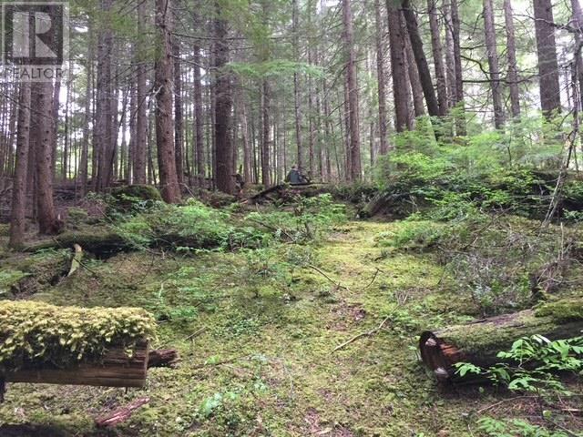 9024 RIVERSIDE DRIVE, Whistler real estate listing R2965276