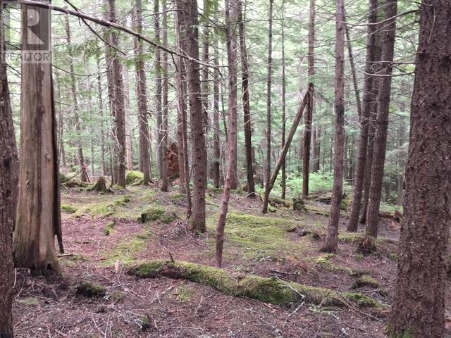 9024 RIVERSIDE DRIVE, Whistler real estate listing R2965276