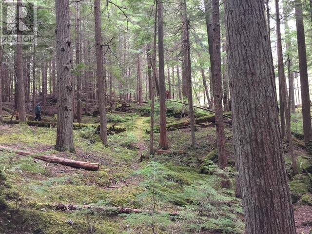 9024 RIVERSIDE DRIVE, Whistler real estate listing R2965276