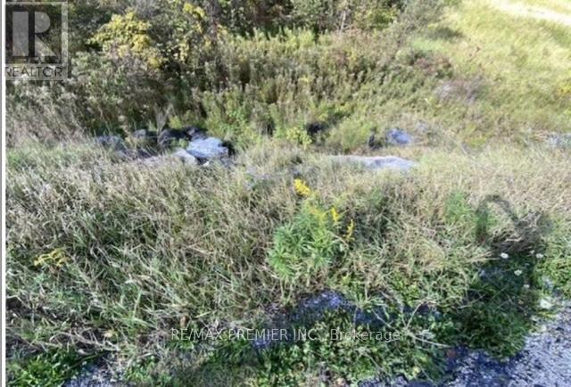 Photo 3 of Pt Con 5 Pt Lot 5 Road, Madoc ON
