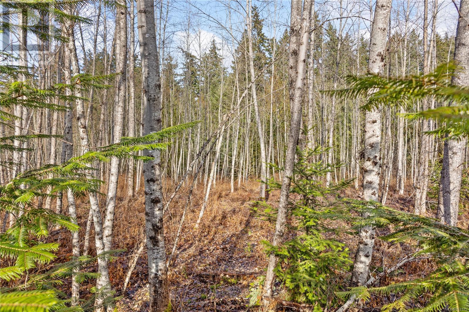 Photo 11 of 2745 Shaver Rd, Coombs BC