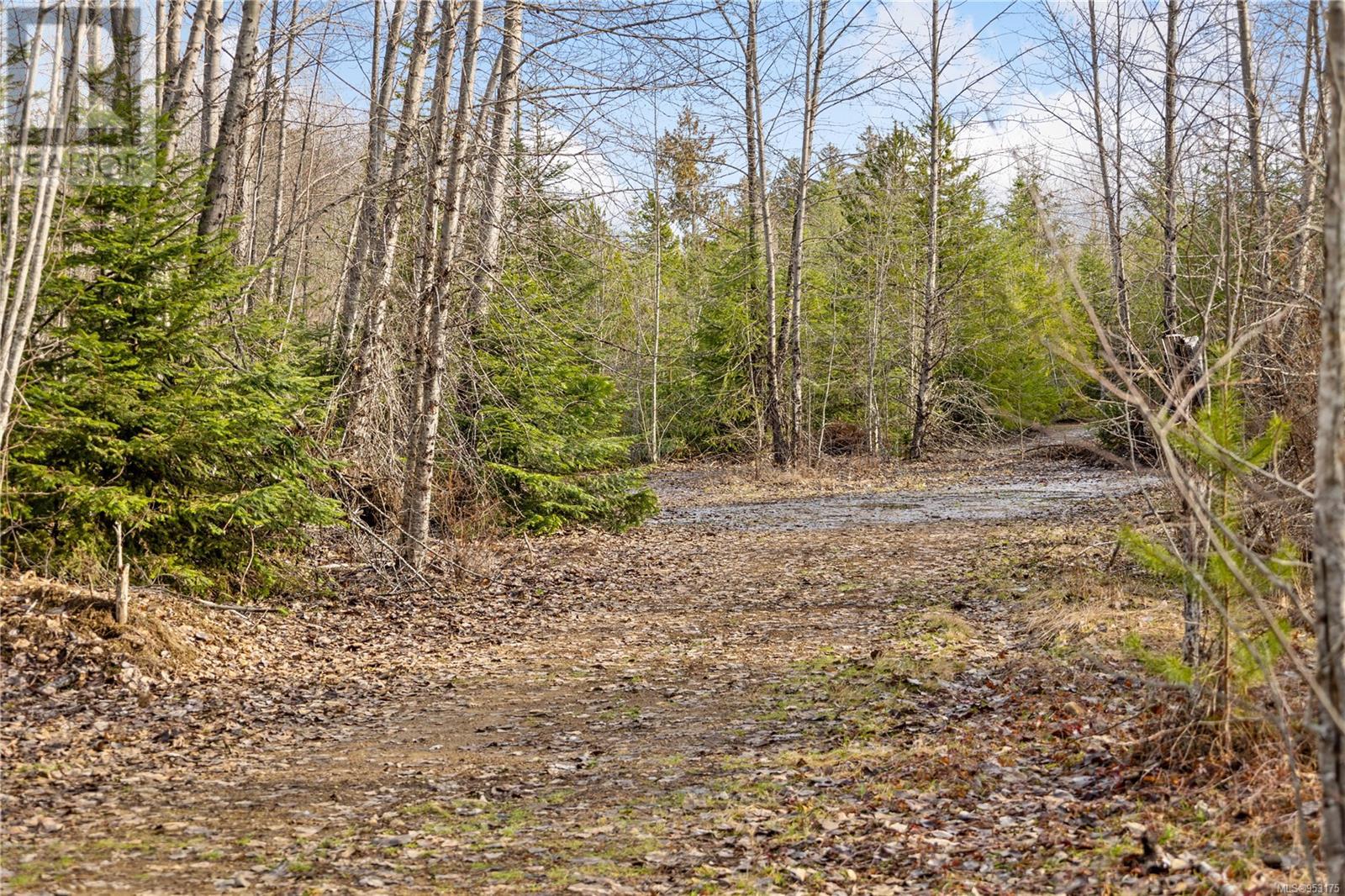 Photo 3 of 2745 Shaver Rd, Coombs BC
