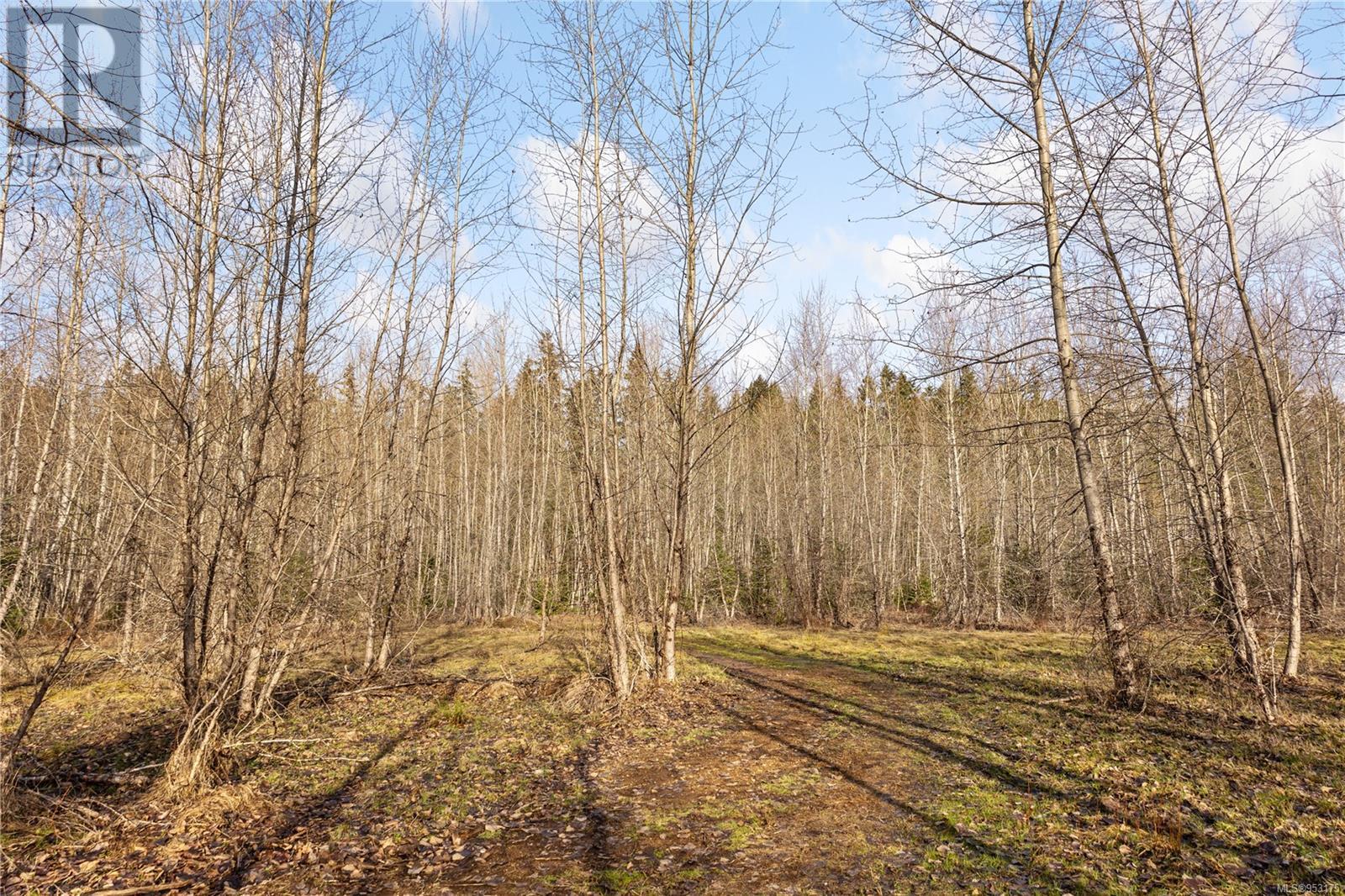 2745 Shaver Rd, Coombs