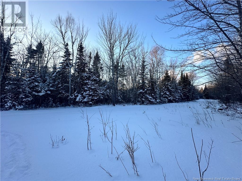 Photo 14 of Lot Mclean Settlement, Saintpaul NB
