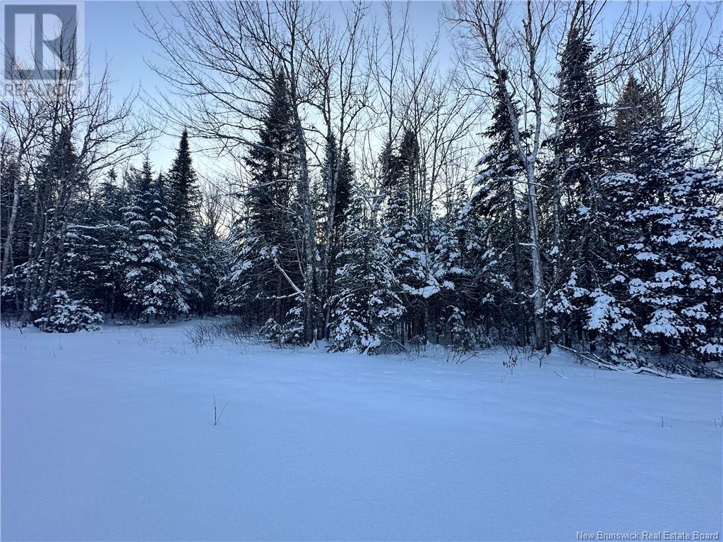 Photo 16 of Lot Mclean Settlement, Saintpaul NB