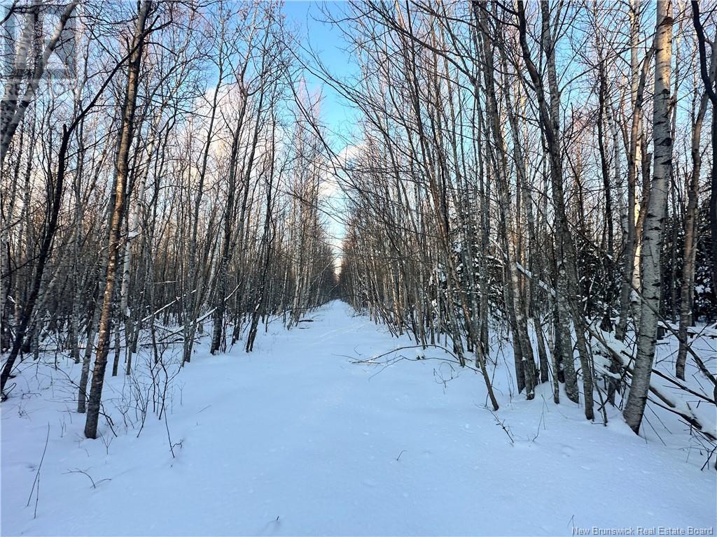 Photo 9 of Lot Mclean Settlement, Saintpaul NB
