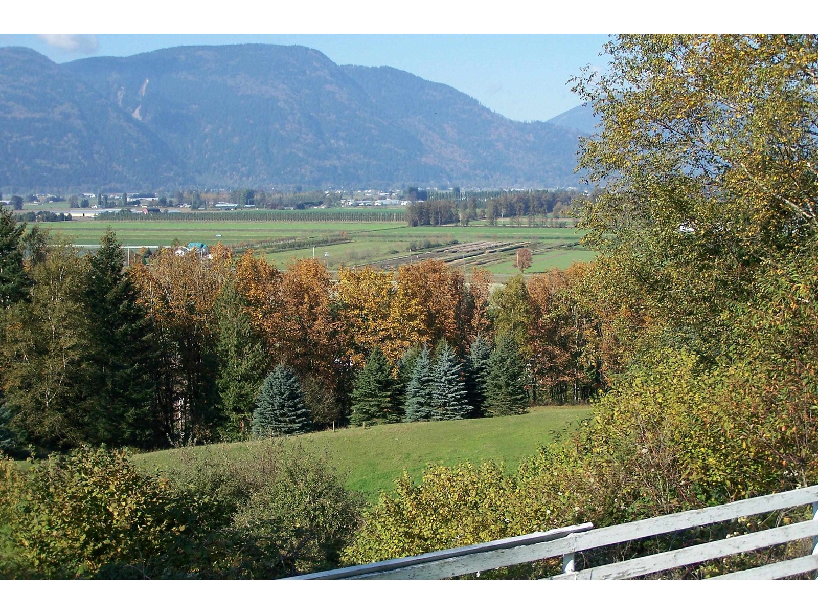 Photo 5 of 41313 Old Yale Road, Abbotsford BC