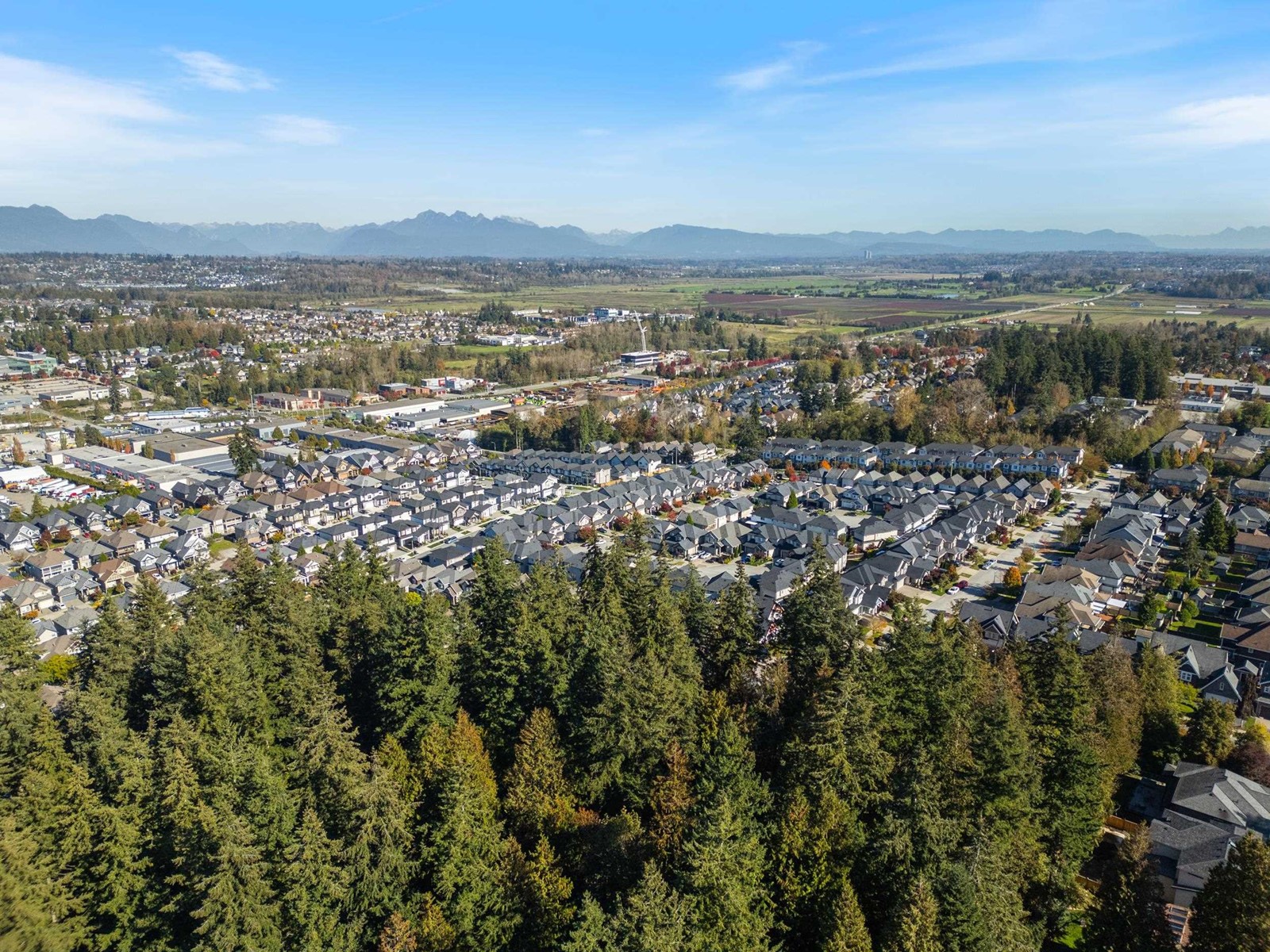 14623 60A AVENUE, Surrey