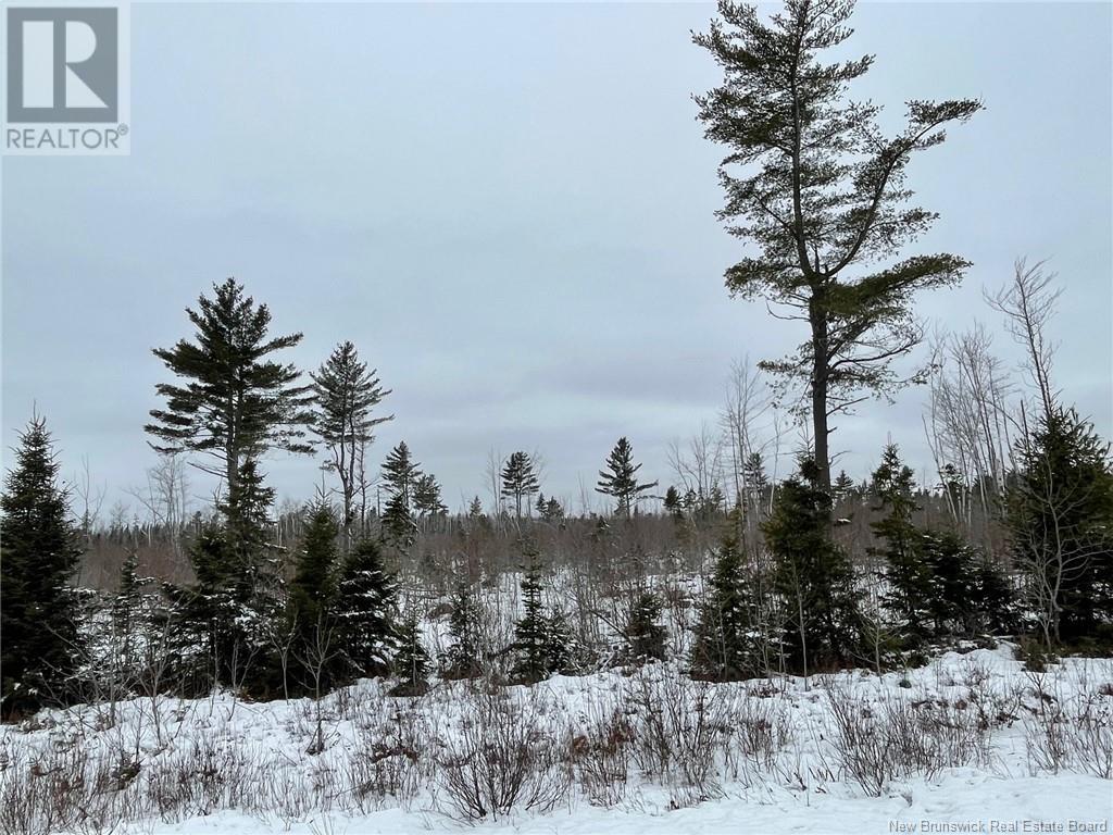 Photo 15 of Oldfield Road, Bartibog NB