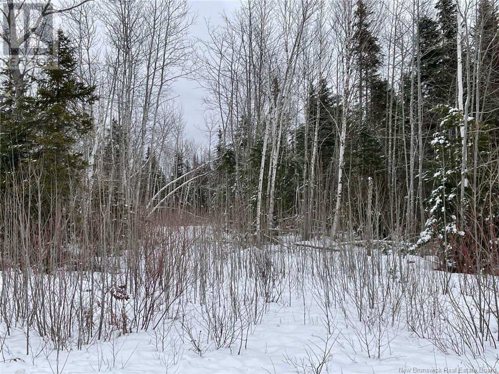 Photo 9 of Oldfield Road, Bartibog NB