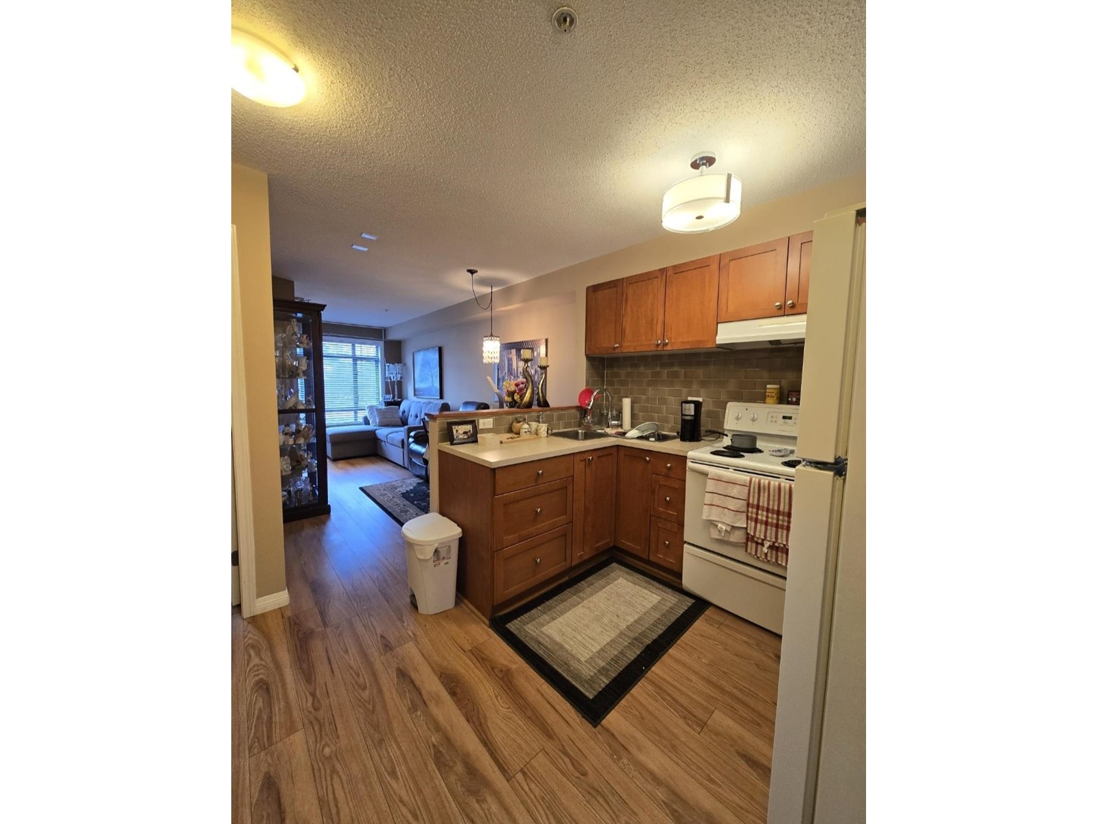 Photo 4 of 229 8880 202 Street, Langley BC