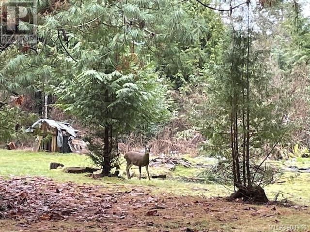  901 Isabella Point Road, Salt Spring