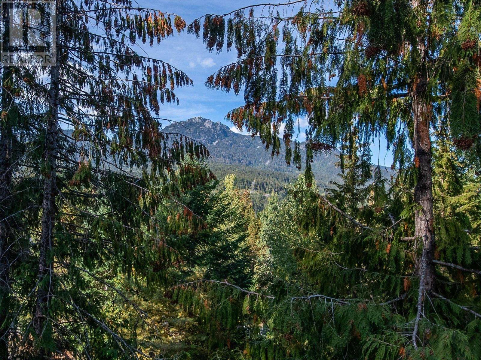 2317 CHEAKAMUS WAY, Whistler real estate listing R2967133
