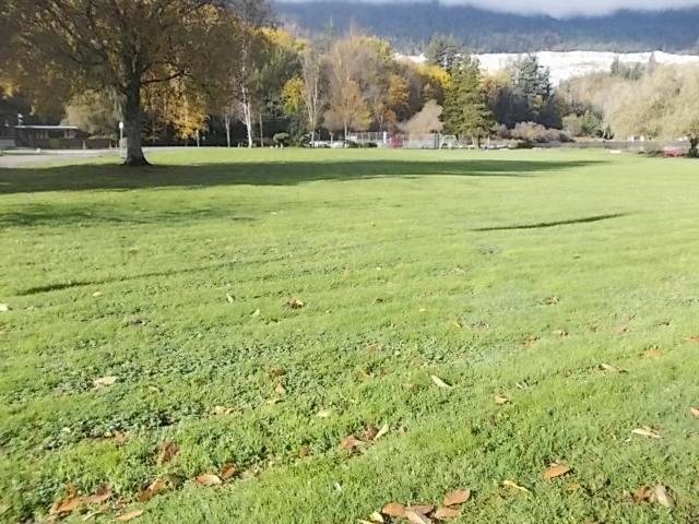12005 HODGKIN ROAD, Mission real estate listing R2957303