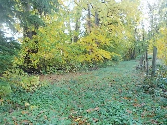 12005 HODGKIN ROAD, Mission real estate listing R2957303