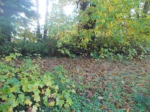 12005 HODGKIN ROAD, Mission real estate listing R2957303