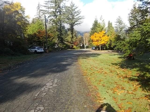 12005 HODGKIN ROAD, Mission real estate listing R2957303