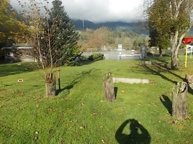 12005 HODGKIN ROAD, Mission real estate listing R2957303