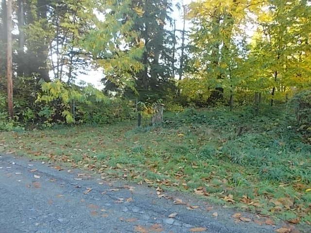 12005 HODGKIN ROAD, Mission real estate listing R2957303