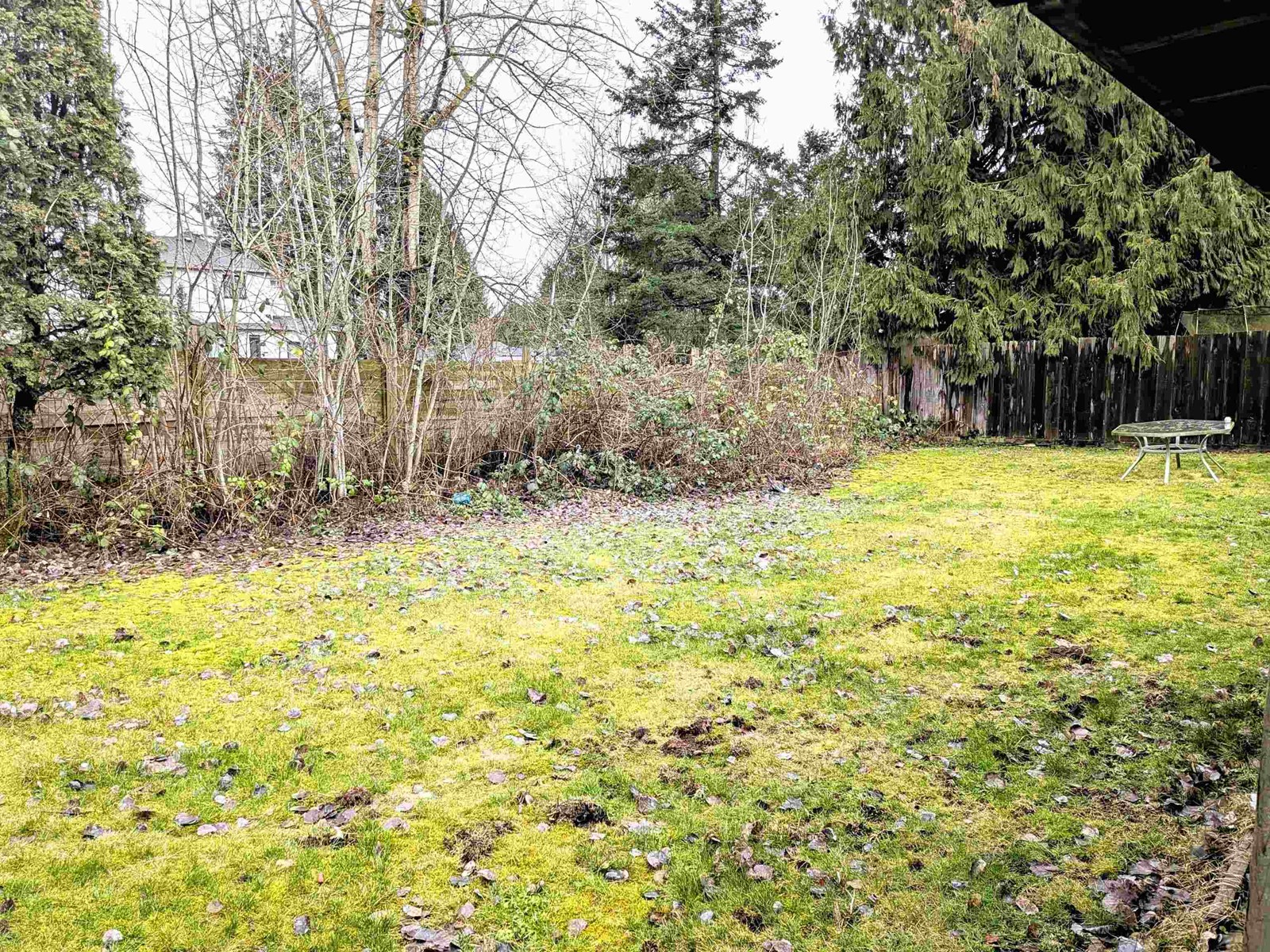 11812 85A AVENUE, Delta