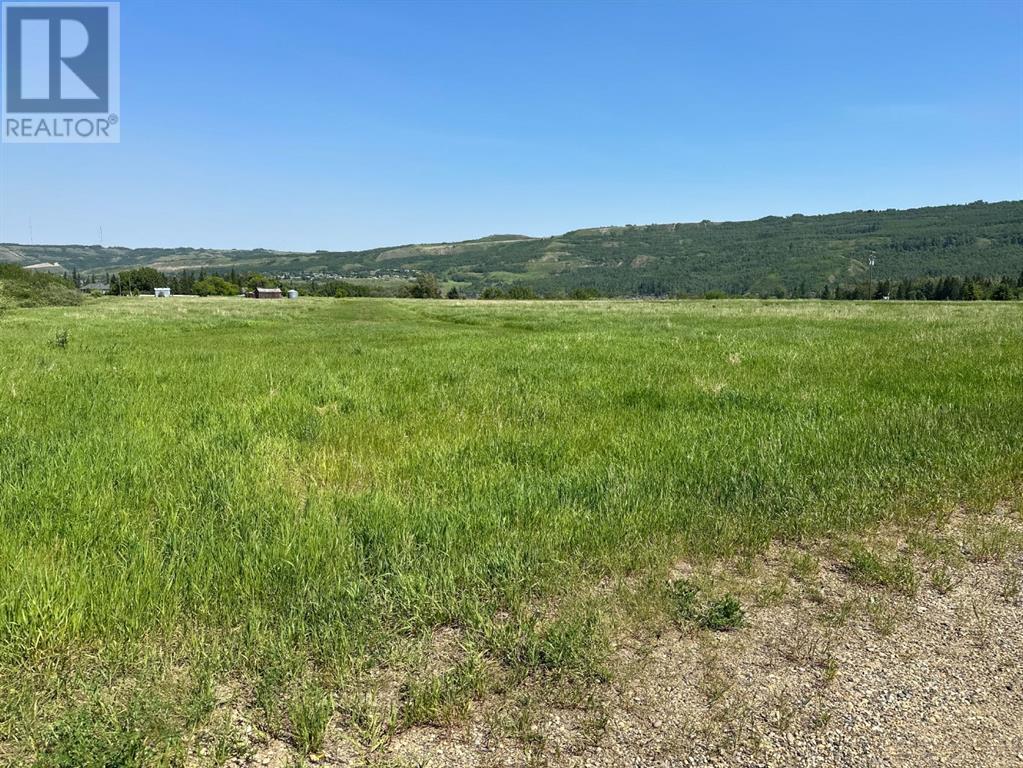 Agriculture for Sale in On River Lot  East of Highway  Shaftsbury Trail Highway Rosedale Peace River 