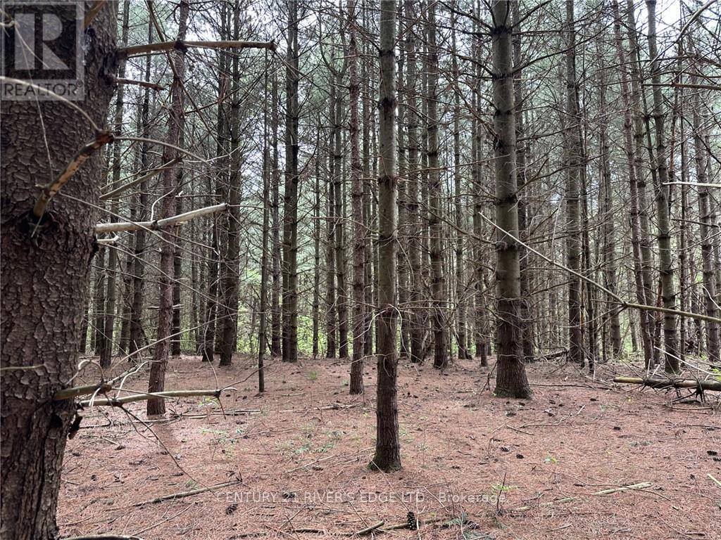 Photo 19 of 12082 Land Onod Road, Merrickvillewolford ON