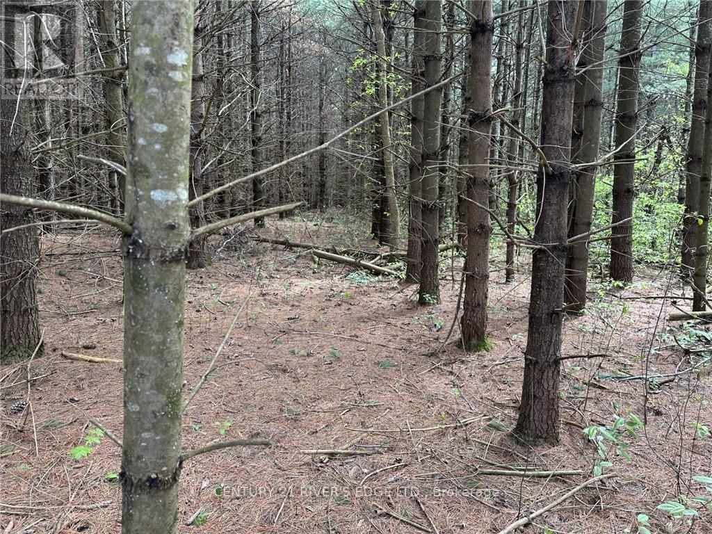 Photo 21 of 12082 Land Onod Road, Merrickvillewolford ON