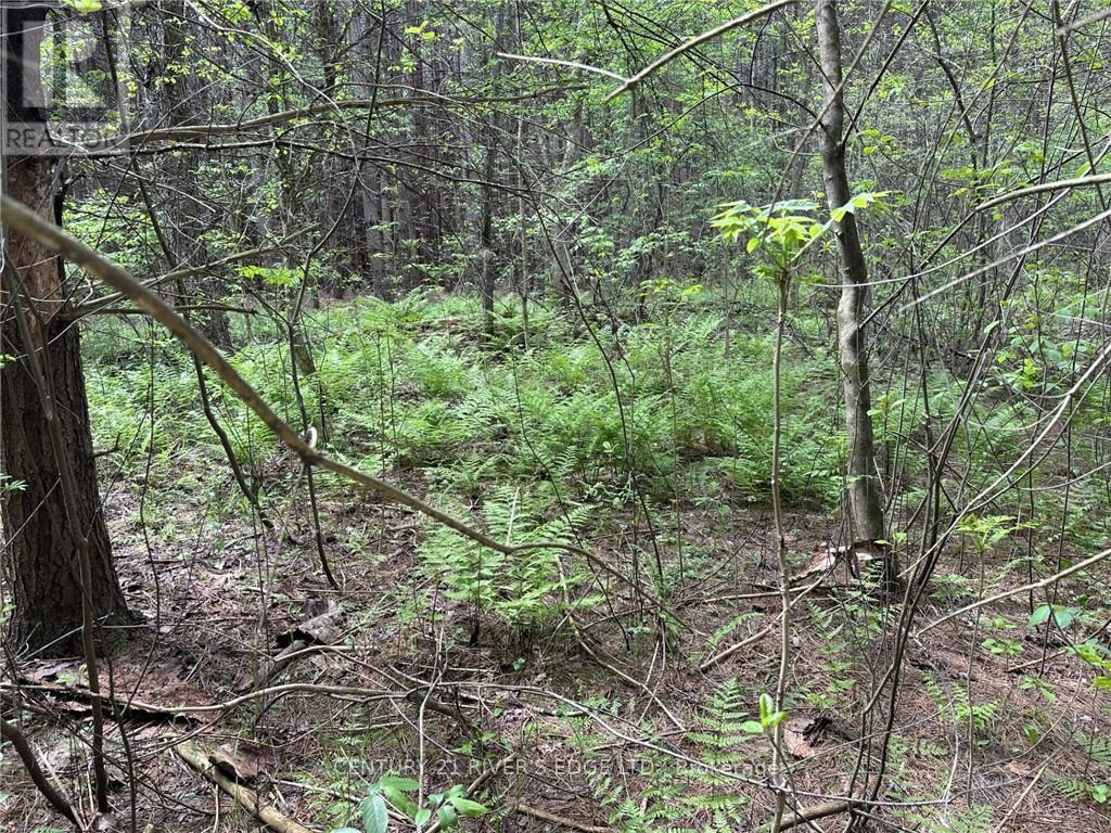 Photo 24 of 12082 Land Onod Road, Merrickvillewolford ON