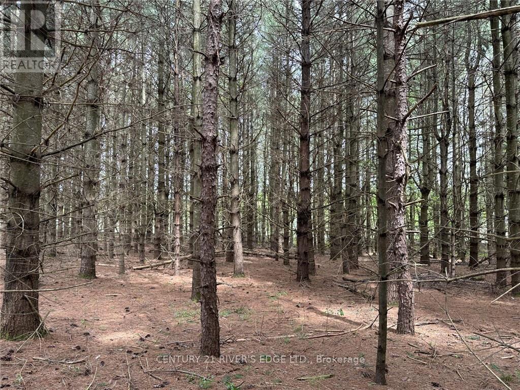 Photo 27 of 12082 Land Onod Road, Merrickvillewolford ON