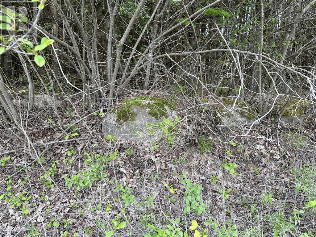 Photo 29 of 12082 Land Onod Road, Merrickvillewolford ON