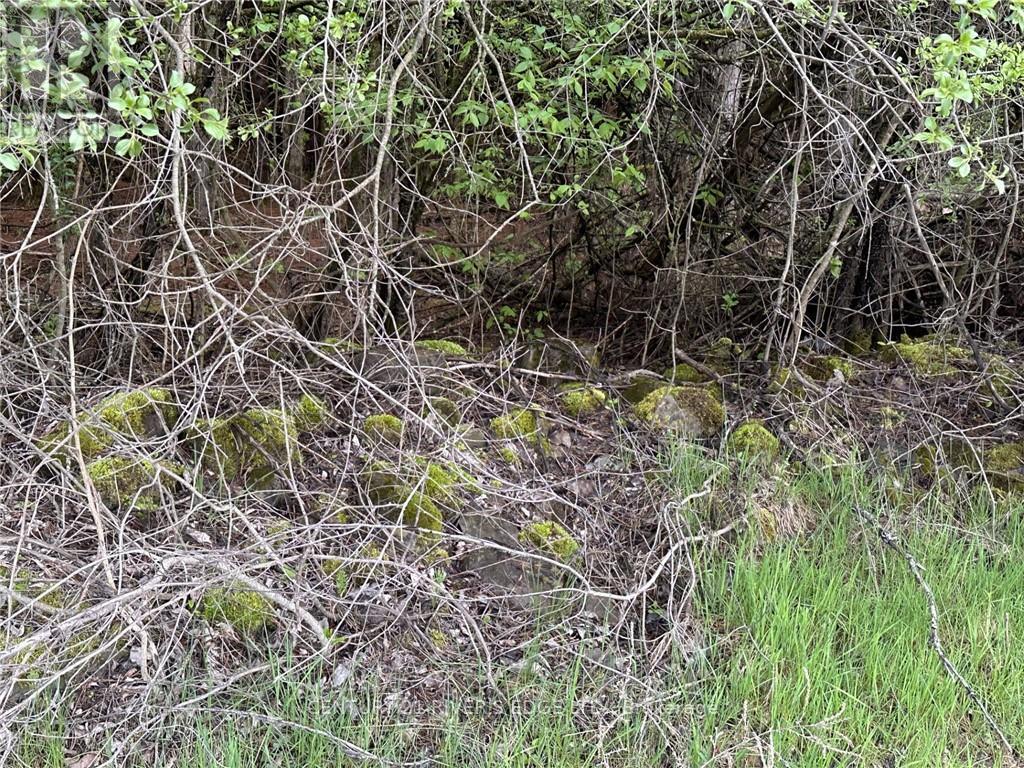 Photo 7 of 12082 Land Onod Road, Merrickvillewolford ON