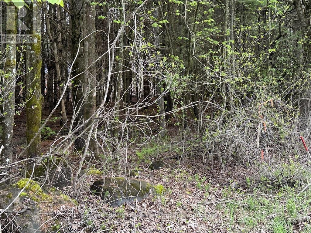 Photo 8 of 12082 Land Onod Road, Merrickvillewolford ON