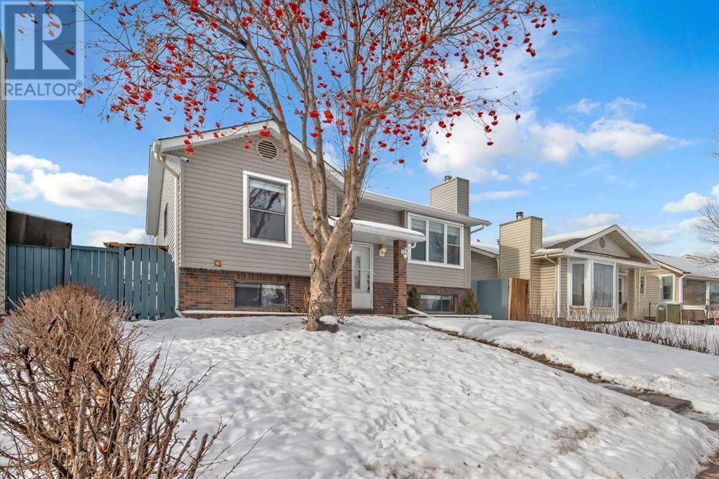 Single Family House Bi-level for Sale in  Castlebrook Drive NE Castleridge Calgary 