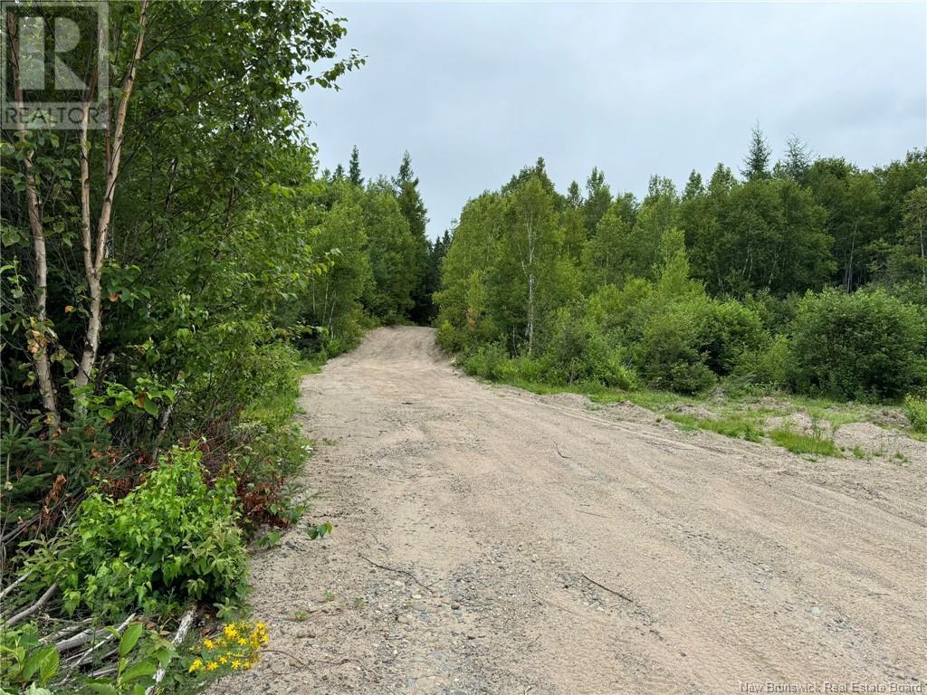 Photo 5 of 51 4 Hec Route 108, Renous NB