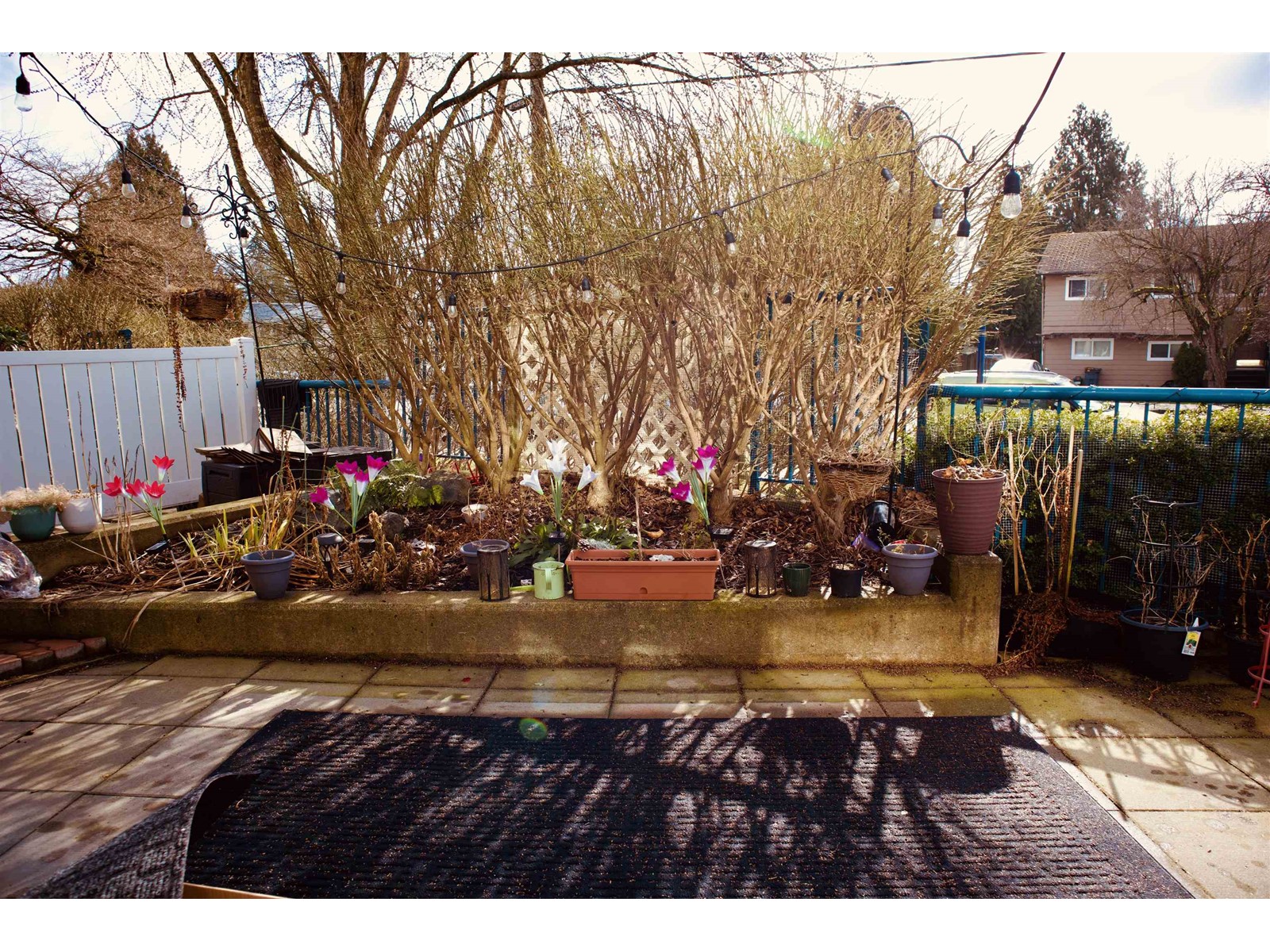Photo 11 of 102 20245 53 Avenue, Langley BC