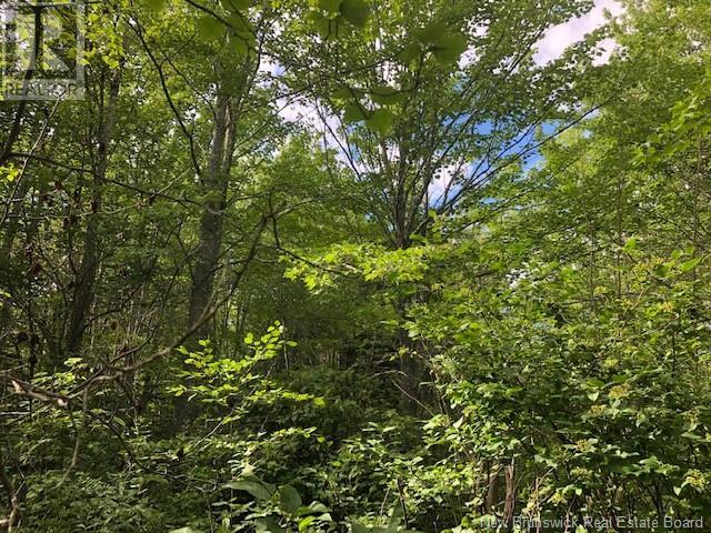 Photo 6 of 740 Des Dallaires, Saintemariedekent NB